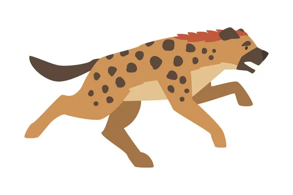 Hyena as Carnivore Mammal with Spotted Coat and Rounded Ears Running Vector Illustration — Stock Vector