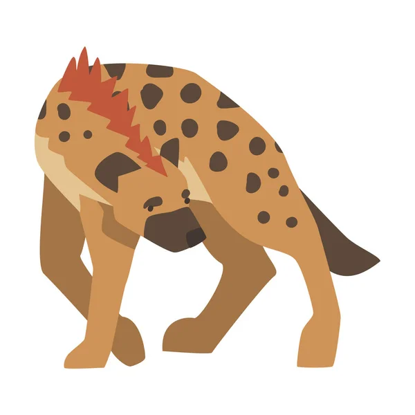 Hyena as Carnivore Mammal with Spotted Coat and Rounded Ears Walking Vector Illustration — Stock Vector
