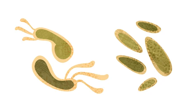 Set de bacterias, enfermedad que causa objetos, microorganismos Dibujos animados Vector Ilustración — Vector de stock