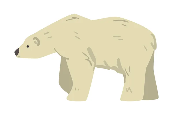 Witte Beer Arctische Dier, Wild Polar Mammal Cartoon Vector Illustratie — Stockvector