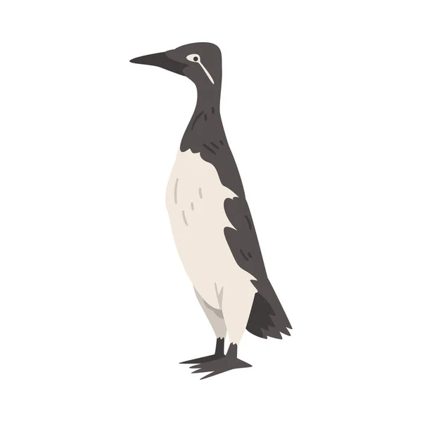 Guillemot Arctic Bird, Wild Polar Animal Cartoon Vector Illustration — 图库矢量图片