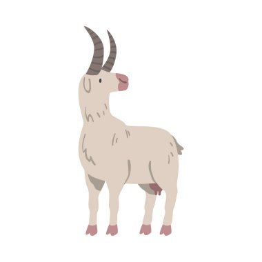 Beyaz Keçi Çiftliği Hayvanı, Hayvancılık Çizgi Filmi Vektör İllüstrasyonu
