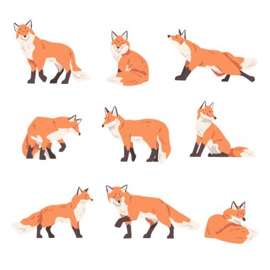 Kızıl Tilki Etkinlik Seti, Vahşi Av Avcısı Ormanı Hayvan Çizgi Filmi Vektör İllüzyonu