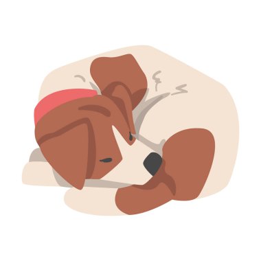 Tatlı Uyuyan Jack Russell Terrier, Kahverengi ve Beyaz Önlüklü Hayvan Hayvan Çizgi Filmi Vektör İllüzyonu