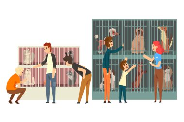 Hayvan Barınağından Evcil Hayvan Evlatlığı Sahiplendiren İnsanlar, Evsiz Hayvanlar İllüstrasyonuna Yardım Eden İnsanlar