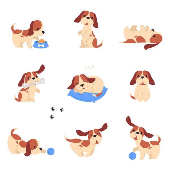 Cute Puppy Dog doing Different Activities Set, Love Pet Animal with White and Brown Coat Playing, Sleeping and eating Cartoon Vector Illustration — 스톡 벡터