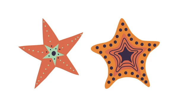 Starfish lub Sea Star jako Asteroidea Gatunek morski z zestawu wektorów dna oceanu — Wektor stockowy
