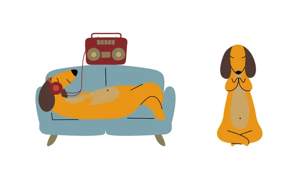 Comic Brown Dachshund Dog Lounging no sofá Ouvindo música com fones de ouvido e sentado em Lotus Yoga Pose Vector Set — Vetor de Stock