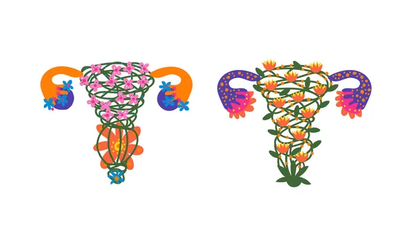 Матка или утроба, образованная из цветов и растений, как векторный набор органов здоровой женской репродуктивной системы — стоковый вектор