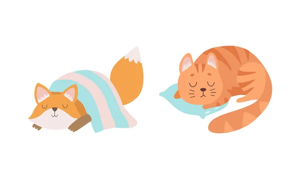 Lindo bebé animales durmiendo en camas conjunto, adorable zorro cachorro y gatito cayó dormido en almohadas dibujos animados vector ilustración — Archivo Imágenes Vectoriales