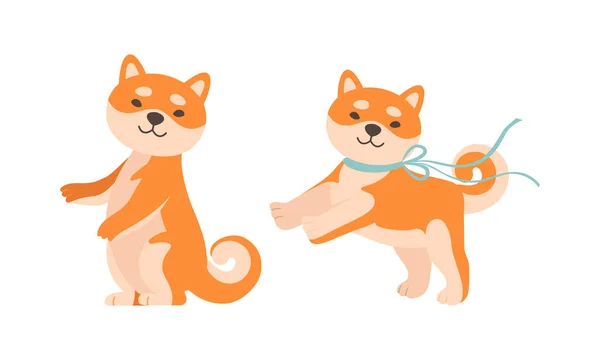 Roztomilý shiba inu dog aktivity set, půvabný akita inu štěně kreslený vektor ilustrace — Stockový vektor