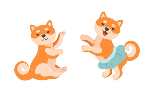 Adorable Shiba Inu Dog in Various Poses Set, Akita Inu Puppy Activities Cartoon Vector Illustration — Stock Vector