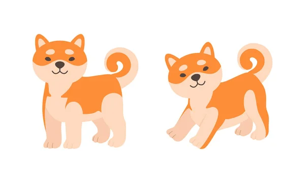 Conjunto de perro encantador Shiba Inu, linda Akita Inu Juguetón Cachorro Dibujos Animados Vector Ilustración — Vector de stock
