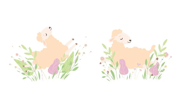 Roztomilé ovce hrát a spát v květinové sadě, rozkošné malé nadýchané jehněčí farmy zvíře v pastelových barvách karikatura vektorové ilustrace — Stockový vektor