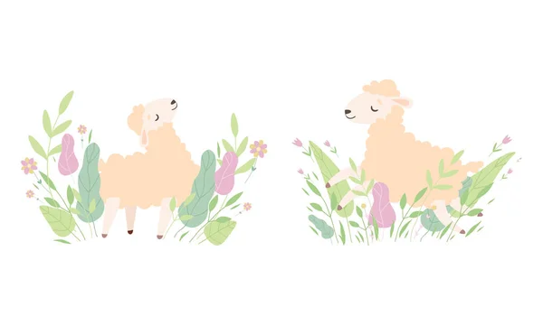 かわいい羊で草原の花セット、愛らしい小さなふわふわの子羊農場動物は自然漫画のベクトルイラストで遊ぶ — ストックベクタ