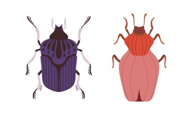 Hata Tür Ayarları, Hata Çizgi Filmi Vektör Resimlerinin Üst Görünümü