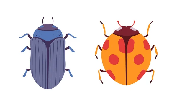 Bug Species Set, Top View of Ladybug en Scarabee Kevers Insecten Cartoon Vector Illustratie — Stockvector