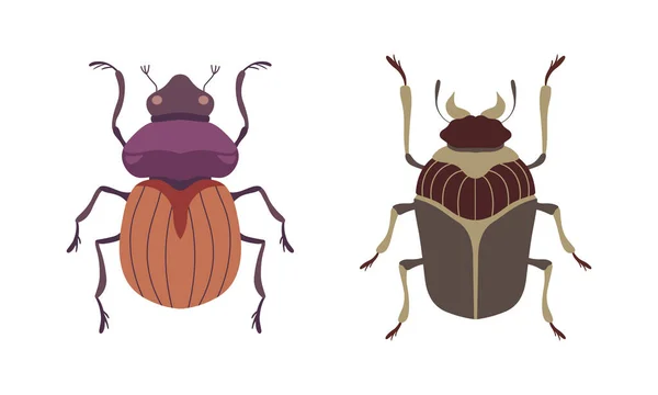 Sada druhů chyb, Top View of Beetles Insect Cartoon Vector Illustration — Stockový vektor