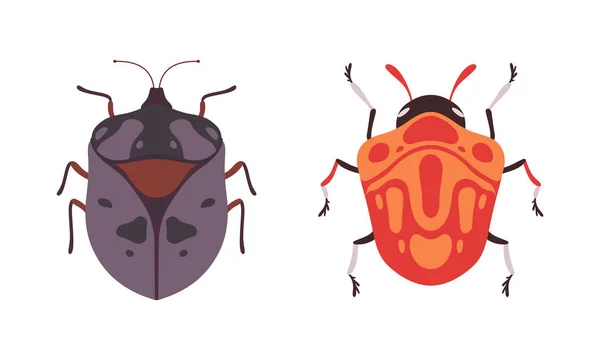 Sada druhů chyb, Top View of Bugs Insect Cartoon Vector Illustration — Stockový vektor