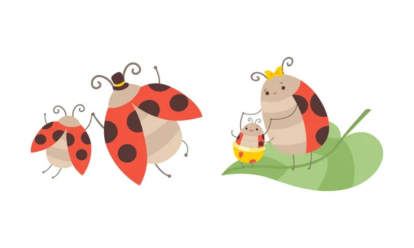 Ladybug Families Set, Insect Ouders en hun Kids Cartoon Vector Illustratie — Stockvector