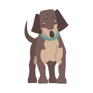 Dachshund Köpeği, Kahverengi Ceketli Sevimli Hayvan ve Mavi Yakalı Çizgi Roman Vektör Çizimi