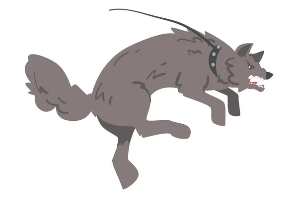 具有攻击性的灰狗在皮带吠叫中的作用及其牙齿传病媒介的描述 — 图库矢量图片