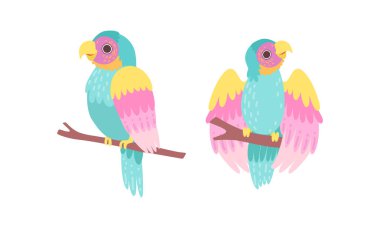 Ağaç Brunch Seti 'nde oturan güzel renkli papağanlar, Egzotik Tropikal Kuşlar Çizgi Film Vektör İllüzyonu