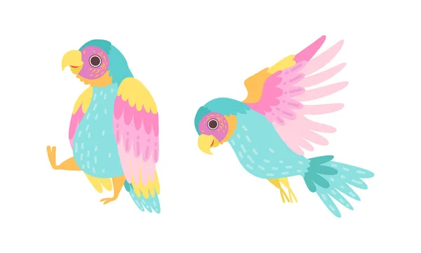 Hermosos loros exóticas aves tropicales conjunto de dibujos animados Vector Ilustración — Archivo Imágenes Vectoriales