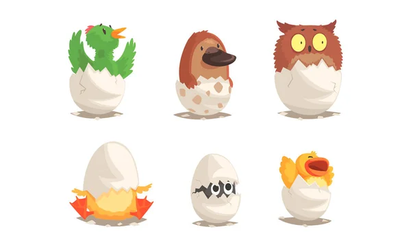 Cute Bird and Reptile Hatching from Egg Sitting in Cracked Open Shell Vector Set — 스톡 벡터