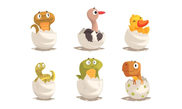 Cute Bird and Reptile Hatching from Egg Sitting in Cracked Open Shell Vector Set — 스톡 벡터