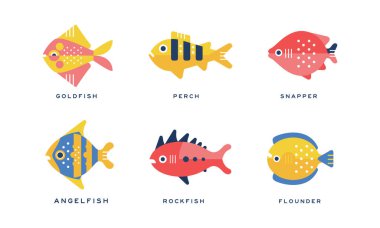 Freshwater and Saltwater Fish as Seafood Depicted in Flat Style Vector Set clipart