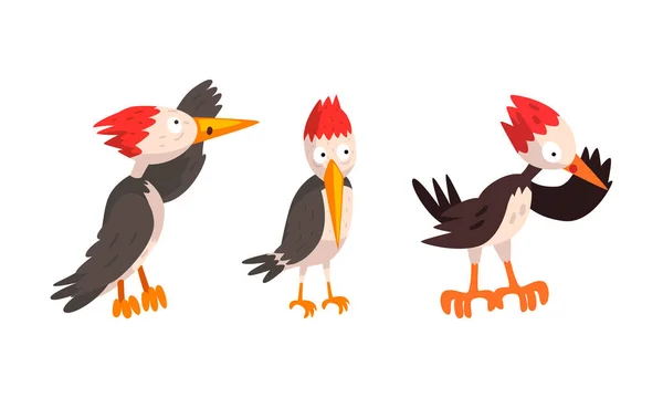 Αστεία Woodpecker Bird Character Set, Comic Woodland Bright Bird Cartoon Vector Εικονογράφηση — Διανυσματικό Αρχείο
