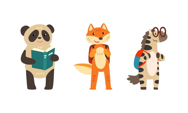Zabawne zwierzęta nauka i czytanie książek zestaw, Panda Bear, Fox i Zebra z plecakami, Edukacja szkolna Concept Cartoon Vector Ilustracja — Wektor stockowy