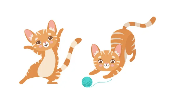Carino zenzero a strisce gattino come peloso domestico animale domestico giocare con filato palla vettoriale set — Vettoriale Stock