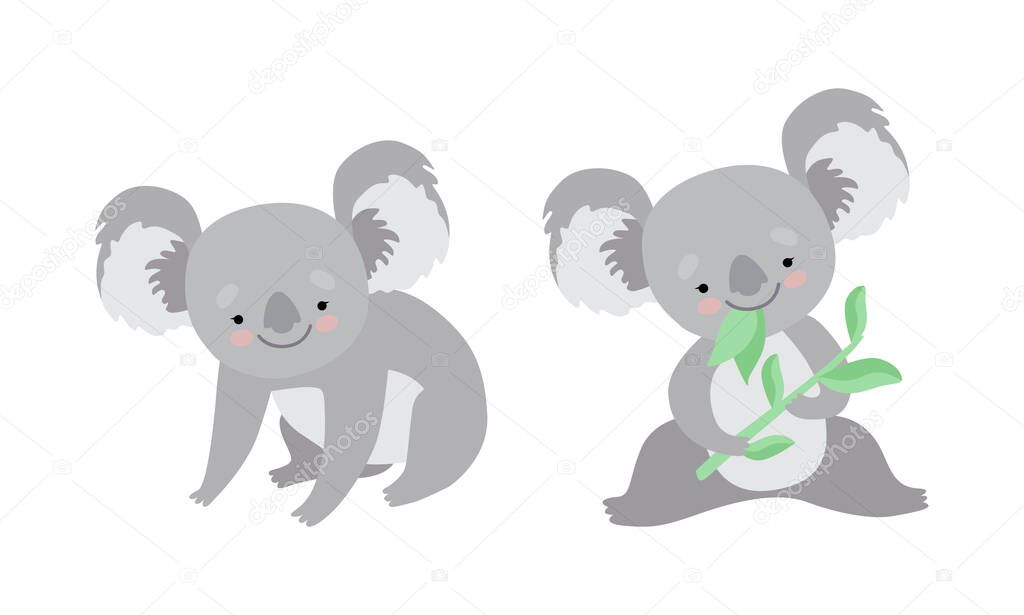 Cute Gray Koala Bear Chewing Eucalypt Leaf Vector Set
