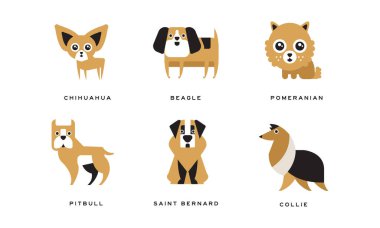 Köpek Cinsleri Chihuahua ve Beagle Vector Set ile Düz Tarzda Gösterildi