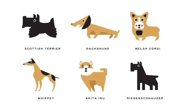 Dog Breeds Depicted in Flat Style with Scottish Terrier and Dachshund Vector Set — Stock Vector