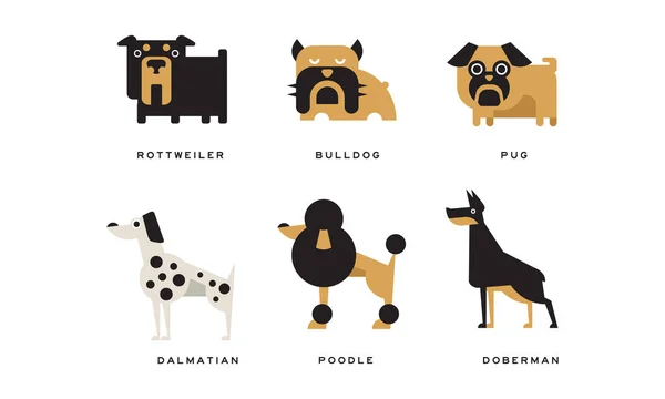 Raças de cães representadas em estilo plano com Rottweiler e Bulldog Vector Set — Vetor de Stock