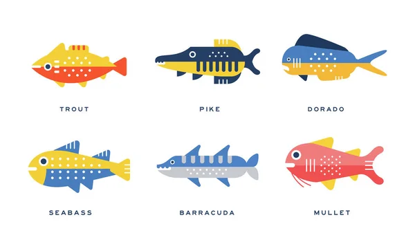 Peixes de água doce e salgada como frutos do mar representados no conjunto de vetores de estilo plano — Vetor de Stock
