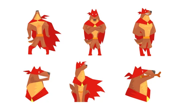 Chien brun musclé en manteau rouge Superhero comme ensemble de vecteur de garde — Image vectorielle