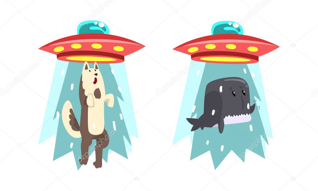 UFO Abducting Animals Set, Alien Spacecraft Stealing Wolf and Whale Cartoon Vector Illustration