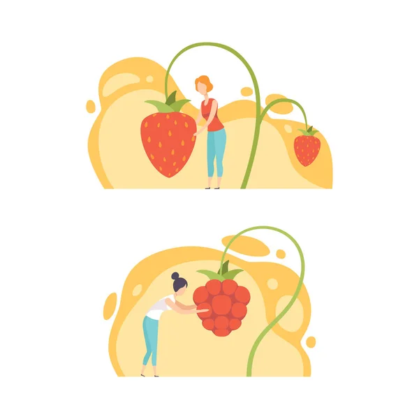 Winzige Leute mit riesigen Beeren, Menschen, die Himbeeren und Erdbeeren ernten, gesunde Ernährung, Eco Natural Food Concept Cartoon Vector Illustration — Stockvektor