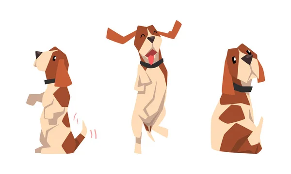 Juego divertido del terrier de Jack Russell, ilustración animada adorable del vector de la historieta de la actividad del animal doméstico — Vector de stock