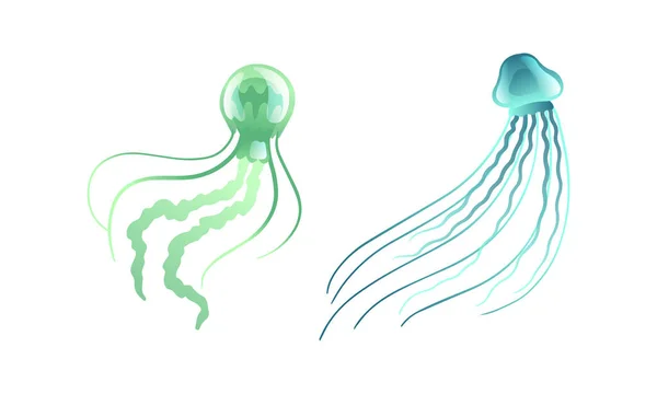 Meduza i mleczko morskie jako wolno pływające zwierzę morskie z dzwonkami w kształcie parasola i Tentacles Trailing Vector Set — Wektor stockowy