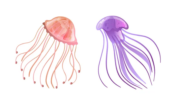 Meduza i mleczko morskie jako wolno pływające zwierzę morskie z dzwonkami w kształcie parasola i Tentacles Trailing Vector Set — Wektor stockowy
