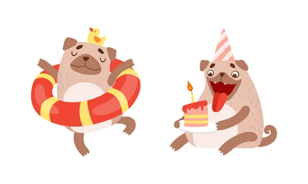 ゴムリングでカールテールとライトブラウンコートと面白いパグ犬と食べる誕生日ケーキベクトルセット — ストックベクタ