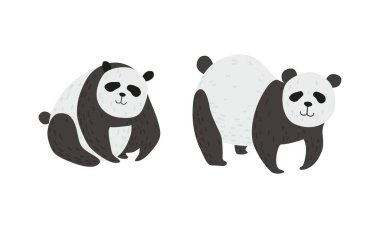 Panda Bear with Black-and-white Coat and Rotund Body Vector Set clipart