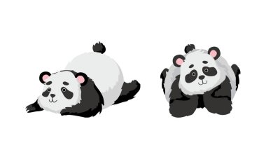 Funny Panda Bear with Black-and-white Coat and Rotund Body Lying Vector Set clipart