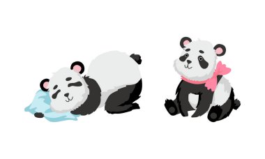 Funny Baby Panda Bear with Black-and-white Coat and Rotund Body with Bow and Sleeping on Pillow Vector Set clipart