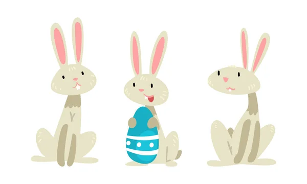 Uzun Kulaklı komik Paskalya Tavşanı ve süslü yumurta taşıyıcısı seti olan gri palto. — Stok Vektör